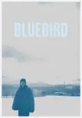 Bluebird