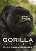 Hành Trình Của Khỉ Đột – Qua Giọng Kể David Attenborough (A Gorilla Story: Told by David Attenborough)