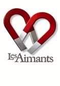 Tình yêu và nam châm (Love and Magnets)