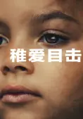 Nhân Chứng Duy Nhất (The Witness)