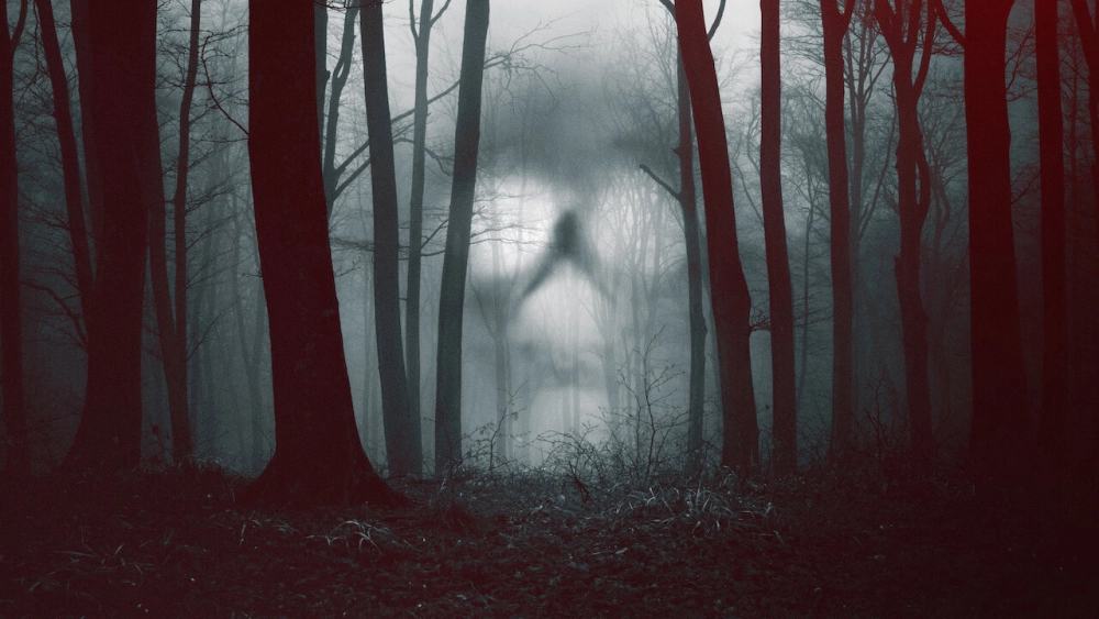 ảnh poster phim 28 ngày ma ám (28 Days Haunted)