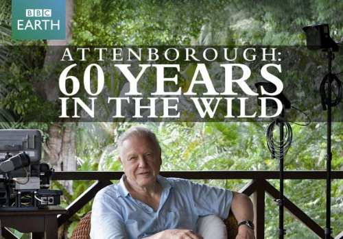 ảnh poster phim 60 Năm Trong Hoang Dã (Attenborough: 60 Years In The Wild)
