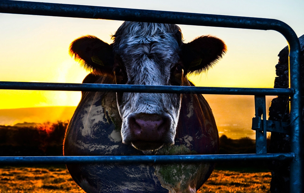 ảnh poster phim Âm mưu về bò sữa: Bí mật của sự bền vững (Cowspiracy: The Sustainability Secret)