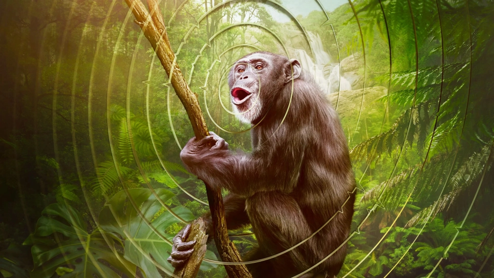 ảnh poster phim Âm Thanh Của Trái Đất - Earthsounds