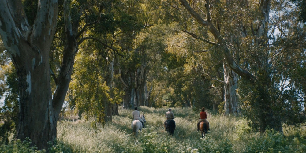 ảnh poster phim Azor