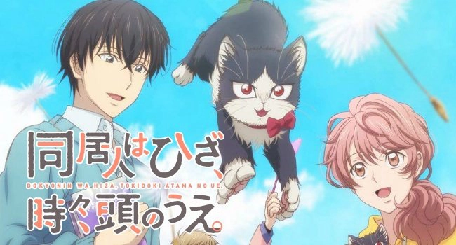 ảnh poster phim Bạn cùng phòng là mèo (My roommate is sometimes on my knees, sometimes on my head)