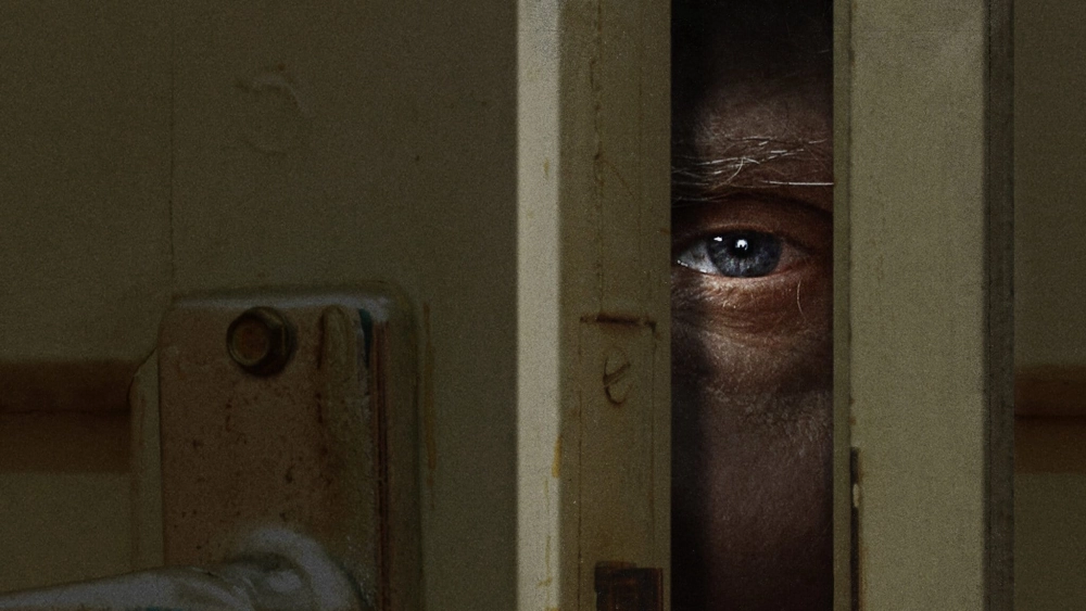 ảnh poster phim Bạn Cùng Phòng Tệ Nhất (Phần 2) (Worst Roommate Ever (Season 2))