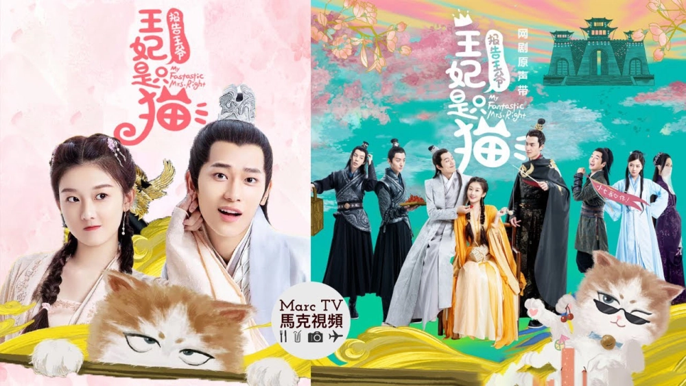 ảnh poster phim Báo Cáo Vương Gia Vương Phi Là Một Con Mèo (My Fantastic Mrs Right)