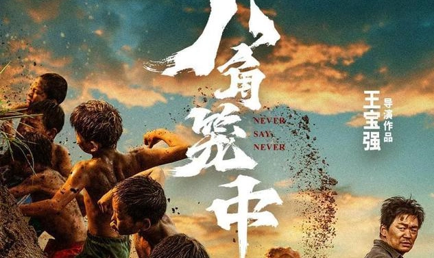 ảnh poster phim Bát Giác Long Trung (Never Say Never)