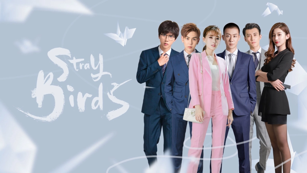 ảnh poster phim Bầy Chim Lạc (Stray Birds)