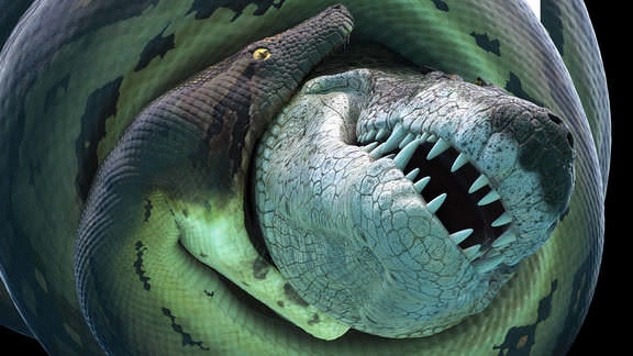 ảnh poster phim Bí Ẩn Quái Vật Khổng Lồ Titanoboa (Titanoboa: Monster Snake)