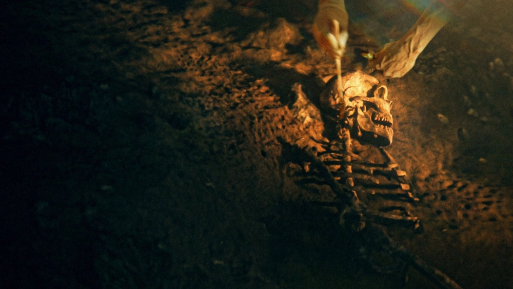 ảnh poster phim Bí mật của người Neanderthal (Secrets of the Neanderthals)