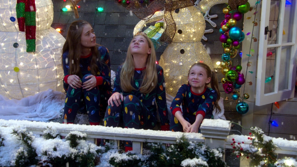 ảnh poster phim Big Show: Đô vật về vườn (Phần 1) (The Big Show Show (Season 1))