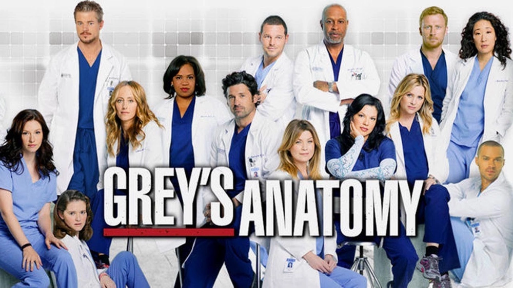 ảnh poster phim Ca Phẫu Thuật Của Grey (Phần 13) (Grey's Anatomy (Season 13))