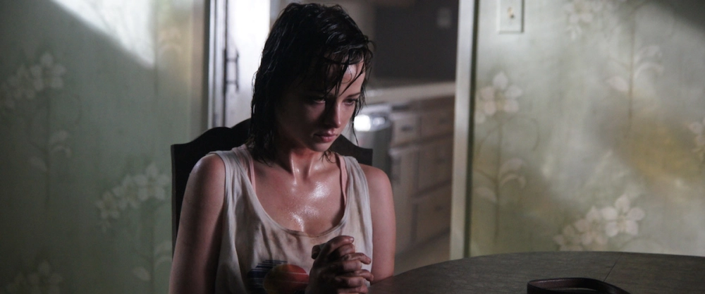 ảnh poster phim Cánh Cổng Của Quỷ (At the Devil's Door)