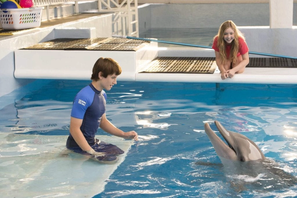 ảnh poster phim Câu Chuyện Cá Heo (Dolphin Tale)