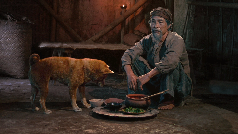 ảnh poster phim Cậu Vàng (The Old Man's Dog)