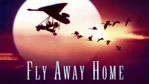 ảnh poster phim CHẮP CÁNH BAY XA (Fly Away Home)