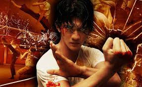 ảnh poster phim Chiến Binh Merantau