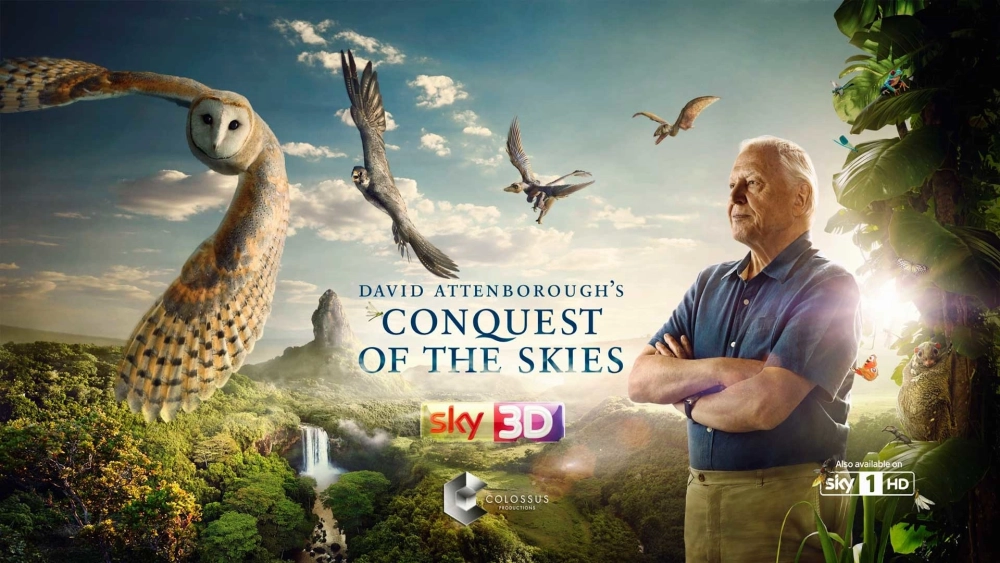 ảnh poster phim Chinh Phục Bầu Trời (David Attenborough's Conquest of the Skies)