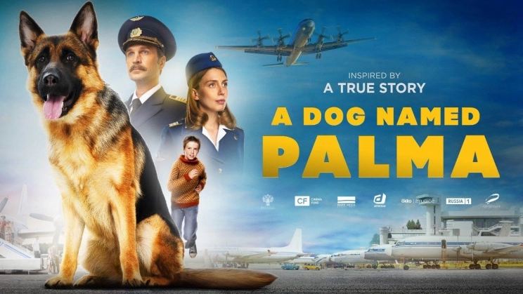 ảnh poster phim Chú Chó Palma (A Dog Named Palma)