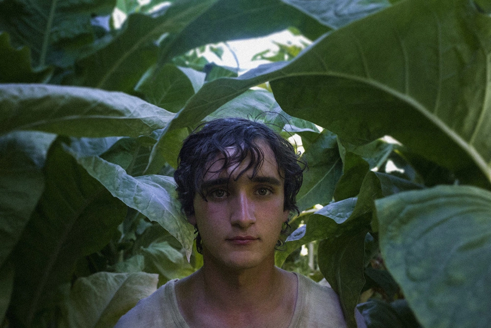 ảnh poster phim Chuyến Du Hành Thời Gian Của Lazzaro (Happy as Lazzaro)