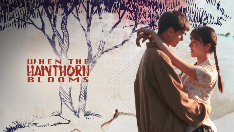 ảnh poster phim Chuyện Tình Cây Sơn Tra (When The Hawthorn Blooms)