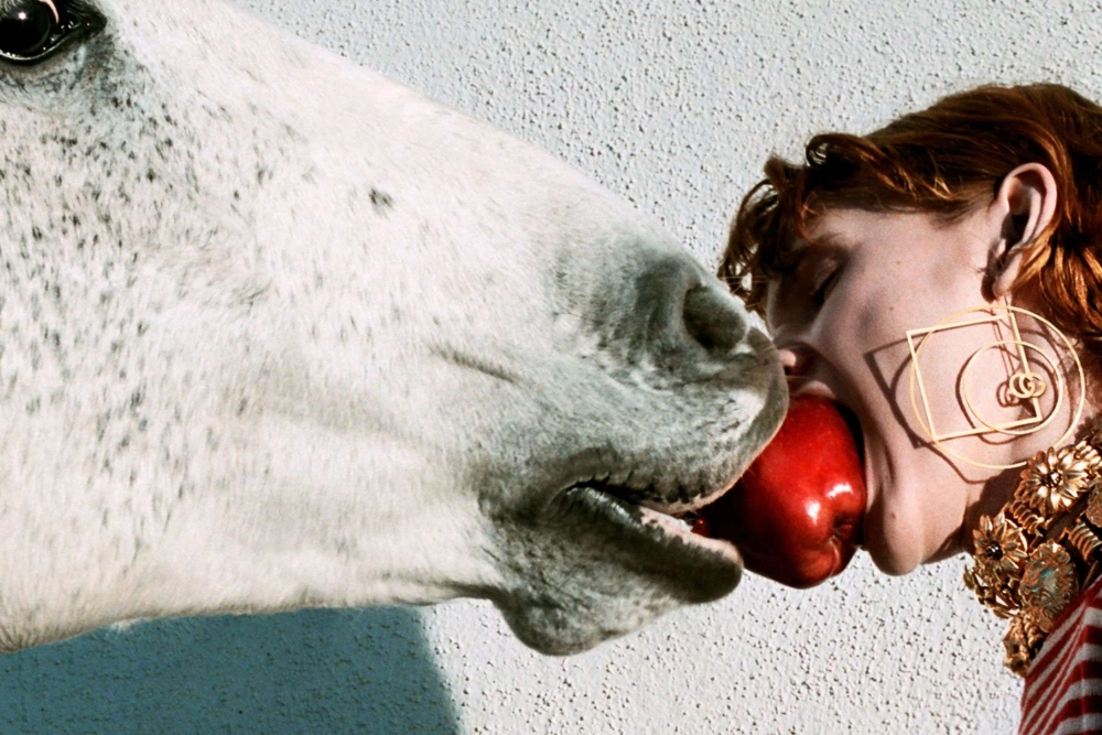 ảnh poster phim Cô gái cùng bầy ngựa (Horse Girl)