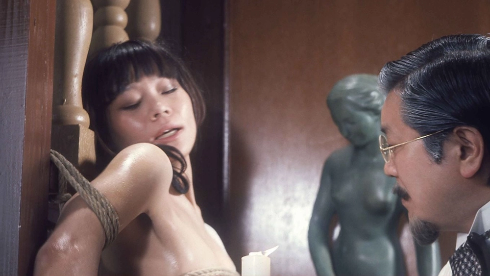 ảnh poster phim Cổ Tích Trong Lồng (Fairy in a Cage)