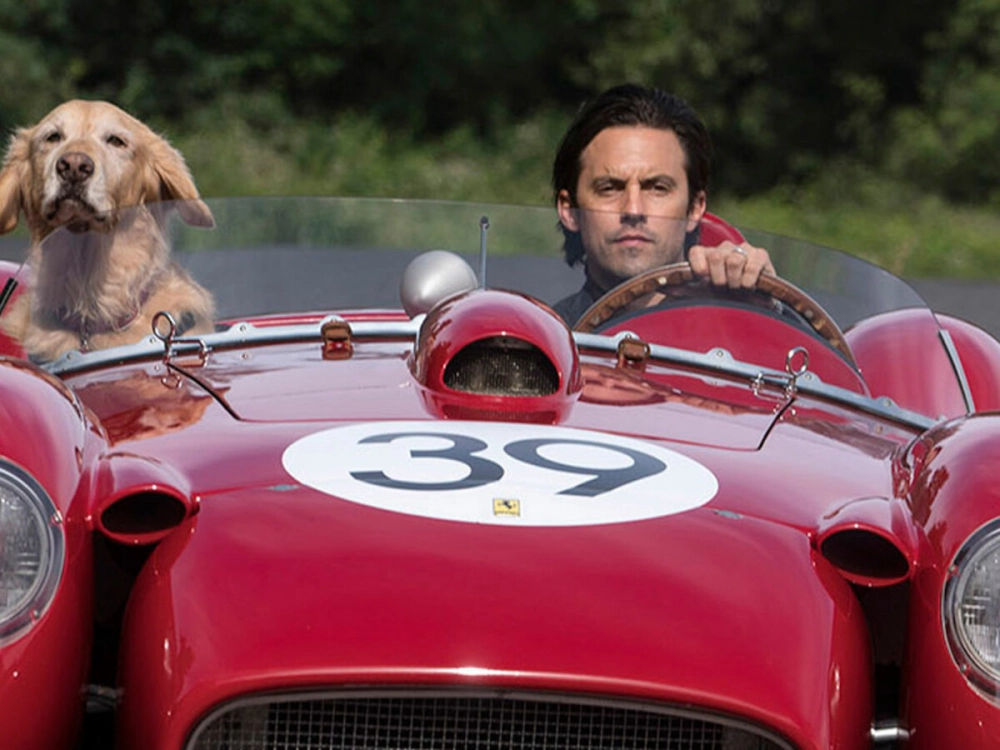 ảnh poster phim Cuộc Đời Phi Thường Của Chú Chó Enzo (The Art of Racing in the Rain)