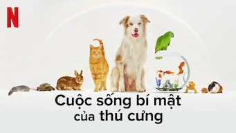 ảnh poster phim Cuộc sống bí mật của thú cưng (The Hidden Lives of Pets)