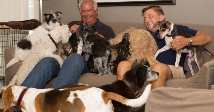 ảnh poster phim Cuộc Sống Ở Trại Chó (Life in the Doghouse)