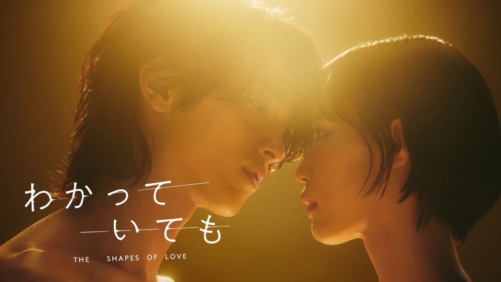 ảnh poster phim DẪU BIẾT DÁNG HÌNH TÌNH YÊU (The Shapes of Love)
