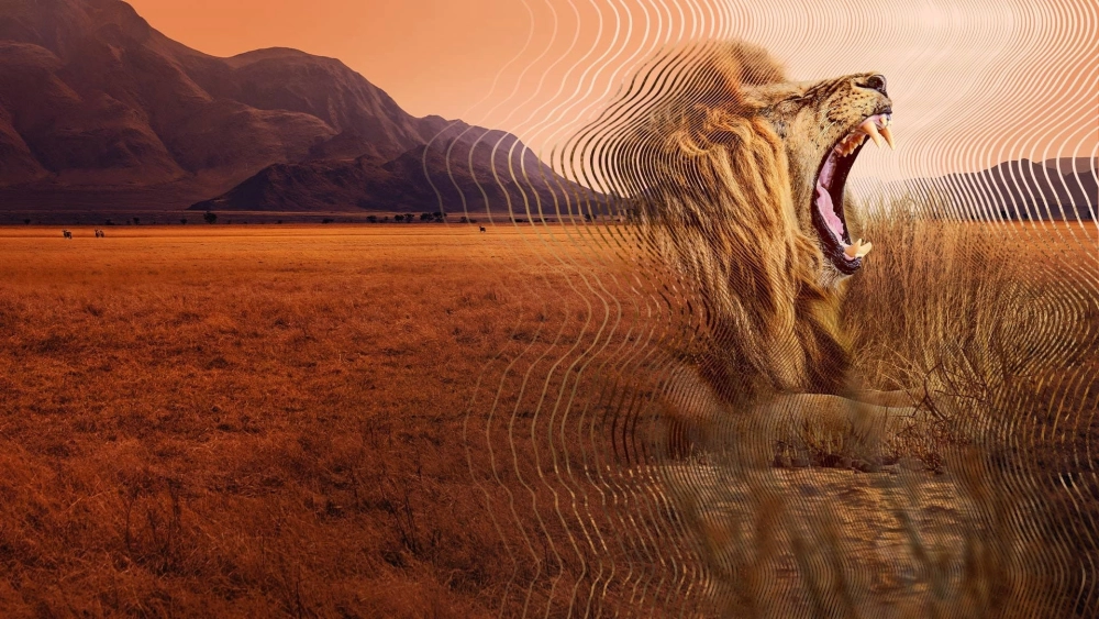 ảnh poster phim David Attenborough: Thế giới bí mật của âm thanh (Secret World of Sound)