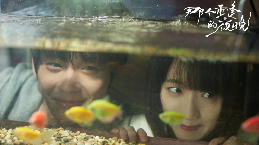 ảnh poster phim Đêm Đoàn Tụ Ấy (We Shall Meet Again)