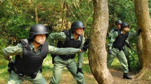 ảnh poster phim Đơn vị chiến thuật: Comrades in Arms (Tactical Unit: Comrades in Arms)