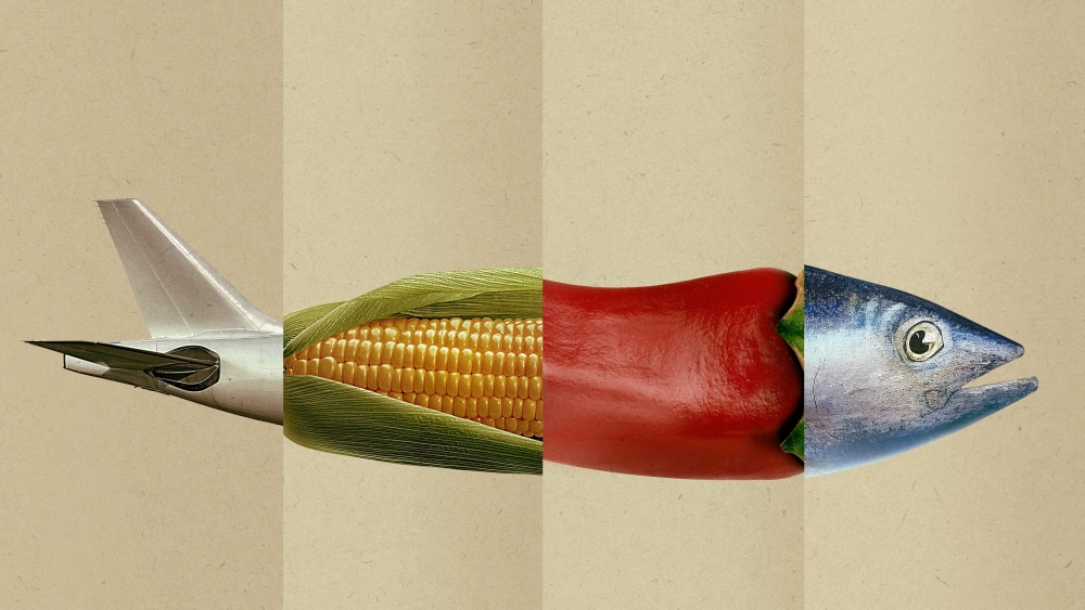 ảnh poster phim Động Vật Ăn Tạp - Omnivore