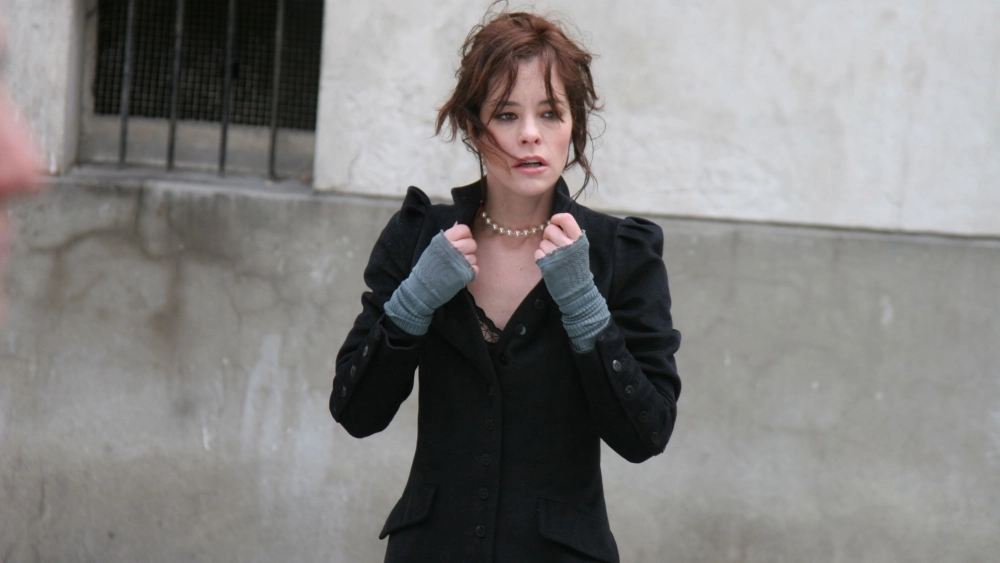 ảnh poster phim Fay Grim