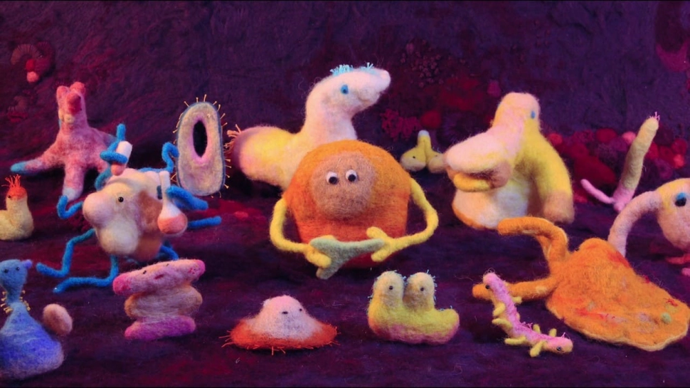 ảnh poster phim Vì Sức Khỏe: Bí Quyết Khoa Học Và Ăn Uống (Hack Your Health: The Secrets of Your Gut)