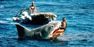 ảnh poster phim Hàm Cá Mập: Báo Thù (Jaws: The Revenge)