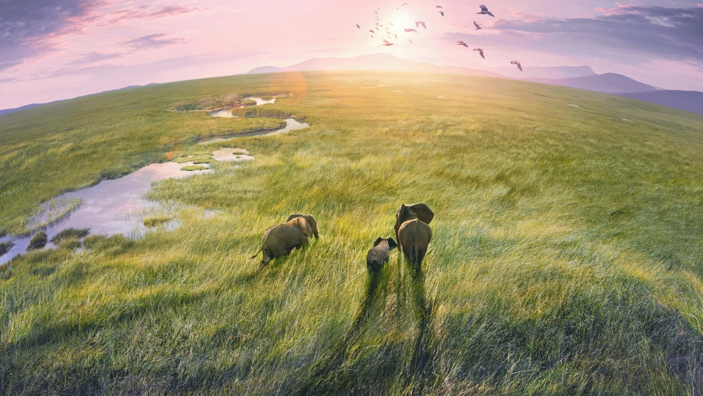 ảnh poster phim Hành Tinh Trái Đất 3 (Planet Earth III)