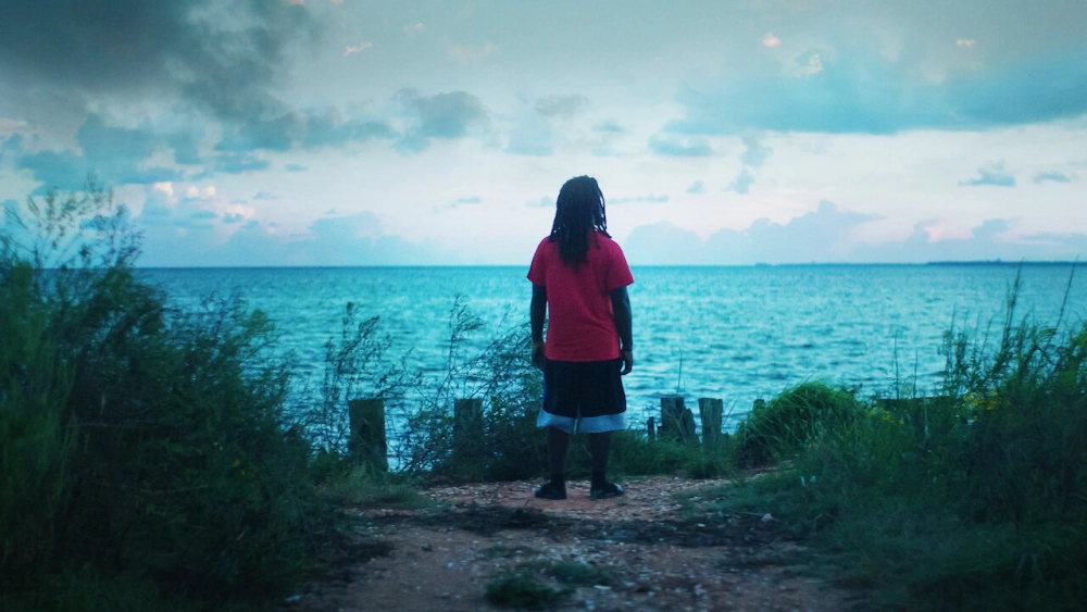 ảnh poster phim Hậu duệ của Clotilda (Descendant)