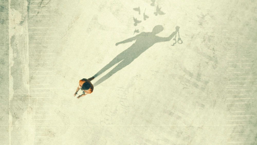 ảnh poster phim Hồ sơ vô tội (The Innocence Files)