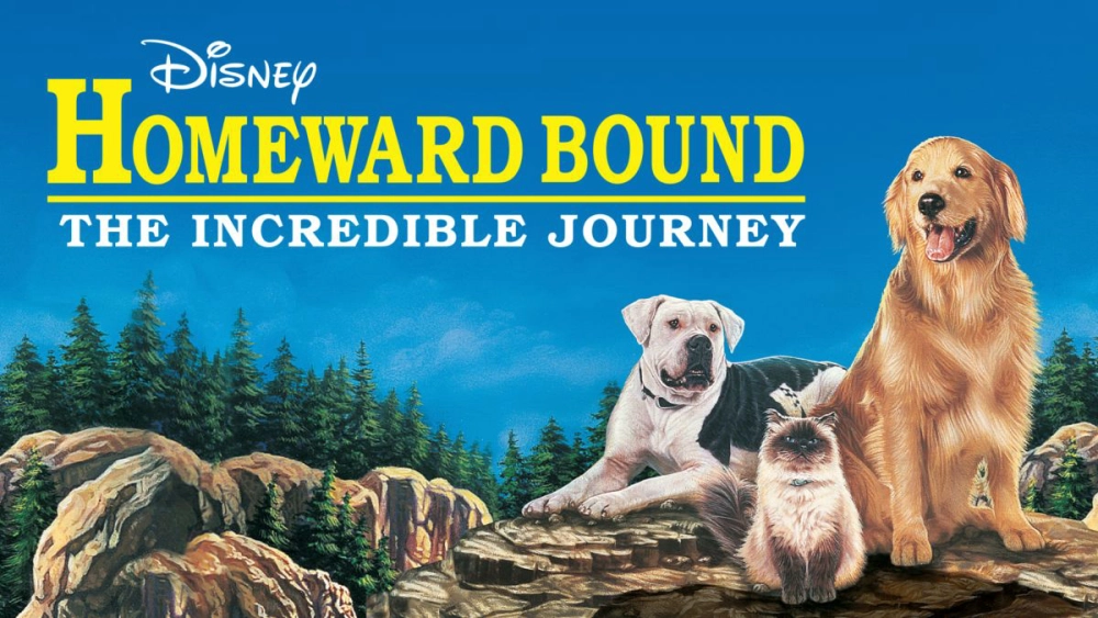 ảnh poster phim Homeward Bound: The Incredible Journey