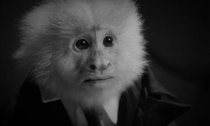 ảnh poster phim JACK ĐÃ LÀM GÌ? (WHAT DID JACK DO?)