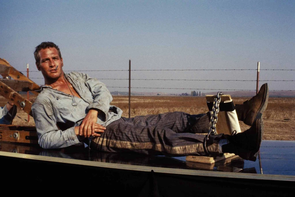 ảnh poster phim Kẻ Trơ Tráo (Cool Hand Luke)