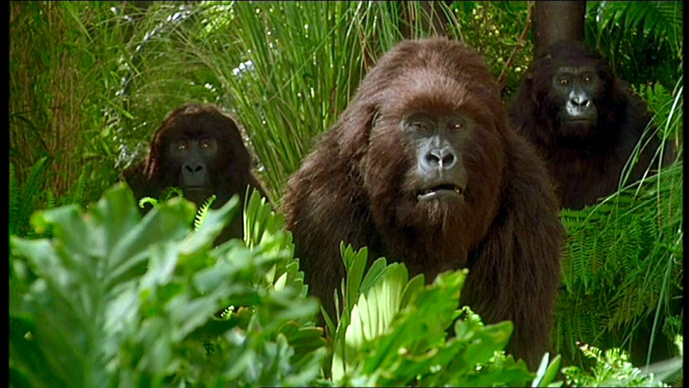 ảnh poster phim Kho Báu Công Gô (Congo)