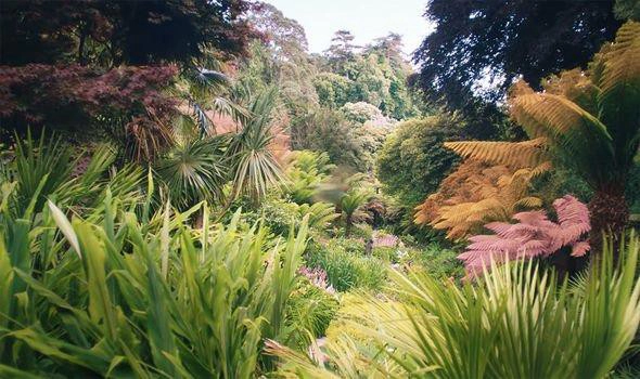 ảnh poster phim Khu Vườn Mộng Mơ (Dream Garden)