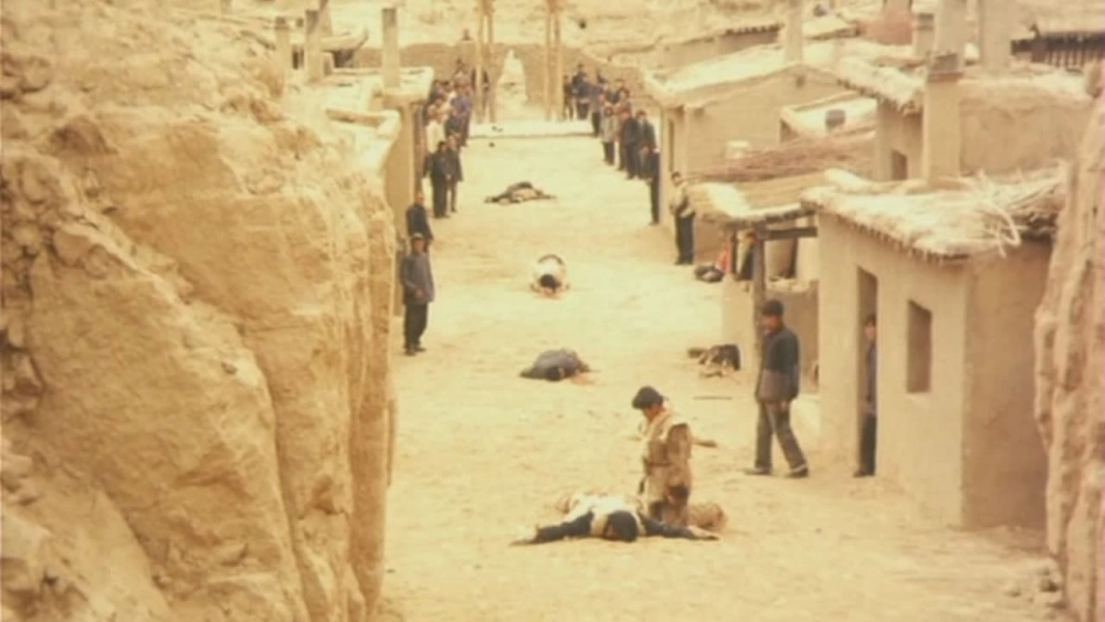 ảnh poster phim Kiếm Khách Song Kỳ Trấn (The Swordsman in Double Flag Town)