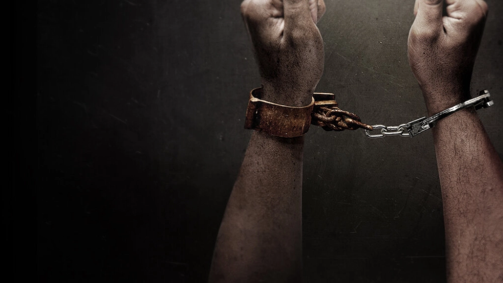 ảnh poster phim Lần sửa đổi thứ 13 (13TH)